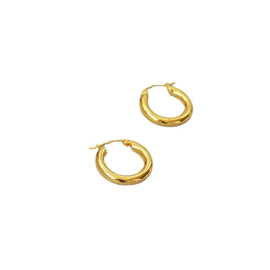 Celi Simple Exquisite Hoop Earrings